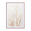 Abstract - Flowers Ii Wall Art - Drawdeck