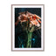 Flowers Light And Shadow Play Wall Art - Drawdeck
