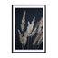Perfect Pampas In The Dark Wall Art - Drawdeck