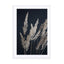 Perfect Pampas In The Dark Wall Art - Drawdeck