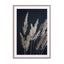 Perfect Pampas In The Dark Wall Art - Drawdeck