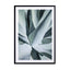 Aqua Cactus Wall Art - Drawdeck