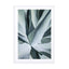 Aqua Cactus Wall Art - Drawdeck
