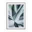 Aqua Cactus Wall Art - Drawdeck