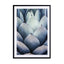 Blue Agave Side Wall Art - Drawdeck