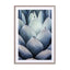 Blue Agave Side Wall Art - Drawdeck
