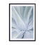 Crystal Cactus 02 Wall Art - Drawdeck