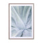 Crystal Cactus 02 Wall Art - Drawdeck