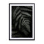 Dark Forests Fern Wall Art - Drawdeck