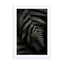 Dark Forests Fern Wall Art - Drawdeck