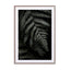Dark Forests Fern Wall Art - Drawdeck