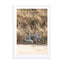 Blue Beach Bike In Holland Wall Art - Drawdeck