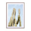 Cactus Plant Green On Blue Art Print Wall Art - Drawdeck