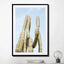 Cactus Plant Green On Blue Art Print - Drawdeck