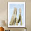 Cactus Plant Green On Blue Art Print - Drawdeck