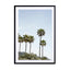 Palmtrees Of California Wall Art - Drawdeck