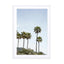 Palmtrees Of California Wall Art - Drawdeck