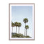 Palmtrees Of California Wall Art - Drawdeck
