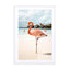 Pink Flamingo On Aruba Island Wall Art - Drawdeck