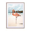 Pink Flamingo On Aruba Island Wall Art - Drawdeck