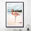 Pink Flamingo On Aruba Island - Drawdeck