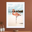 Pink Flamingo On Aruba Island - Drawdeck