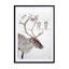 Reindeer With Antlers In Norway Wall Art - Drawdeck