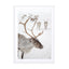 Reindeer With Antlers In Norway Wall Art - Drawdeck