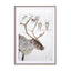 Reindeer With Antlers In Norway Wall Art - Drawdeck