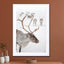 Reindeer With Antlers In Norway - Drawdeck
