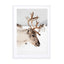 Reindeer With Antlers In Norway Ii Wall Art - Drawdeck