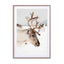 Reindeer With Antlers In Norway Ii Wall Art - Drawdeck
