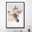 Reindeer With Antlers In Norway Ii - Drawdeck