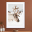 Reindeer With Antlers In Norway Ii - Drawdeck