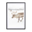 Reindeer With Antlers In Norway Iii Wall Art - Drawdeck