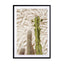 Tropical Cactus Plants Wall Art - Drawdeck