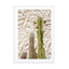 Tropical Cactus Plants Wall Art - Drawdeck