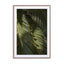 Tropical Palm Leaves Wall Art - Drawdeck