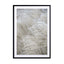 White Beige Boho Dreams Pampas Wall Art - Drawdeck