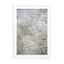 White Beige Boho Dreams Pampas Wall Art - Drawdeck