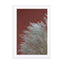 Grasses In The Wind Terracotta Wall Art - Drawdeck
