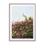 Flower Mix Wall Art - Drawdeck