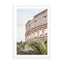 The Roman Colosseum Wall Art - Drawdeck
