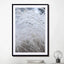 White & Calm Fields - Drawdeck