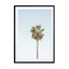 California Palm Tree Wall Art - Drawdeck