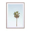 California Palm Tree Wall Art - Drawdeck