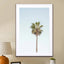 California Palm Tree - Drawdeck