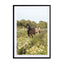 Horses And Wildflowers Wall Art - Drawdeck