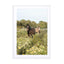 Horses And Wildflowers Wall Art - Drawdeck