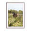 Horses And Wildflowers Wall Art - Drawdeck